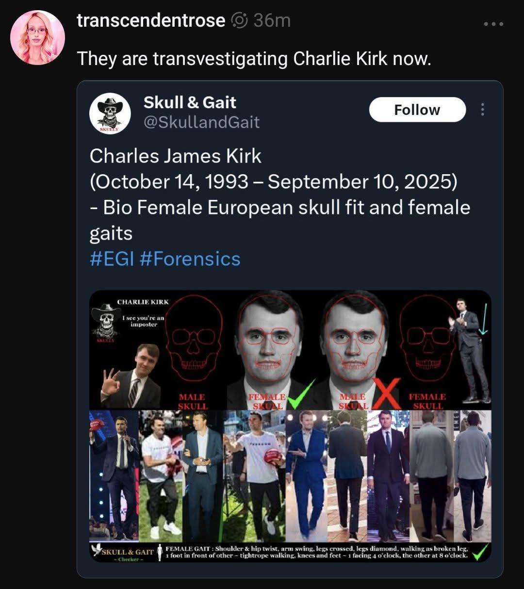 transvestigating-charlie-kirk-now