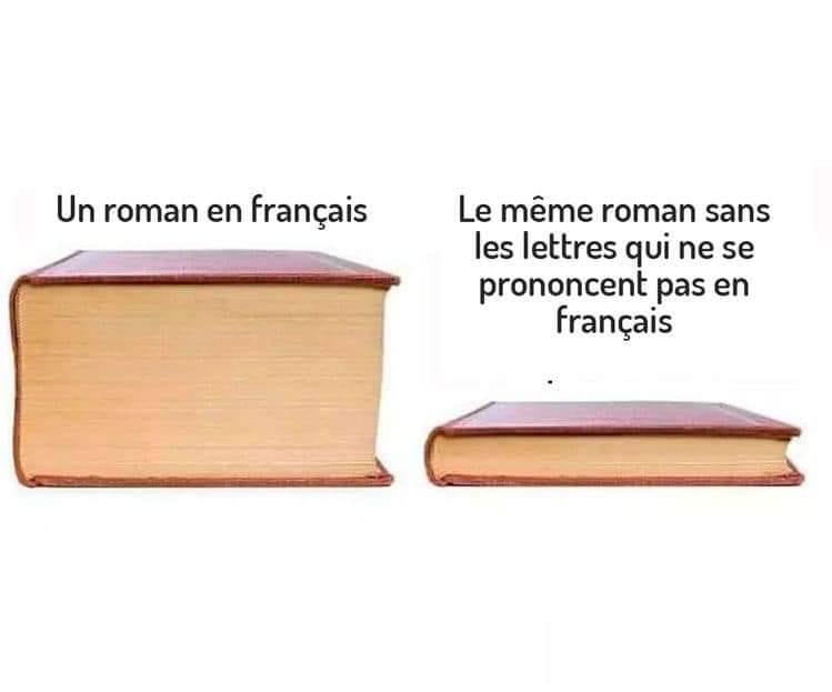 un-roman-en-francais