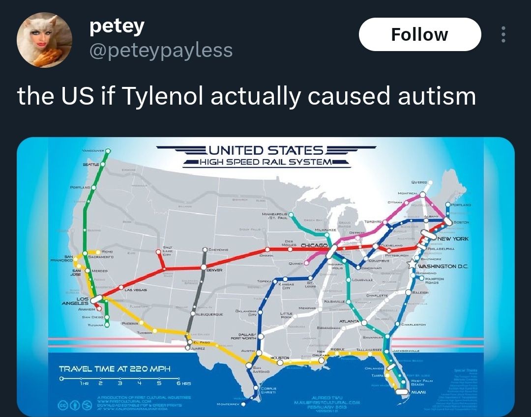 us-if-tylonol-actually-caused-autism