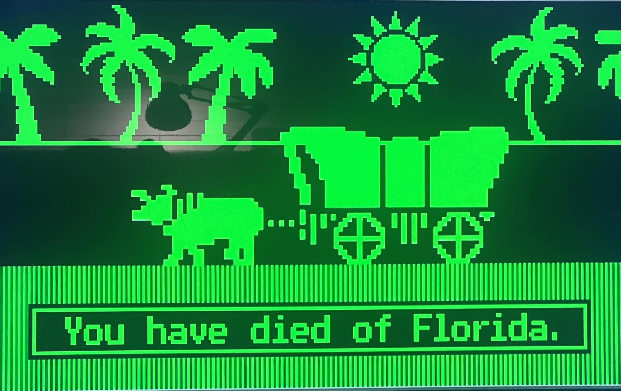 you-have-died-of-florida