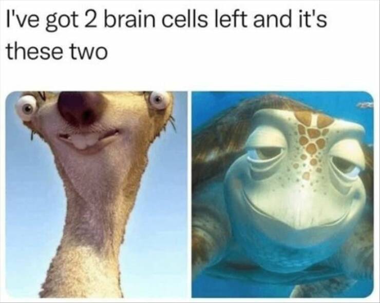 2-brain-cells