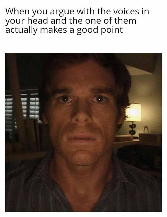 arguing-with-the-voices