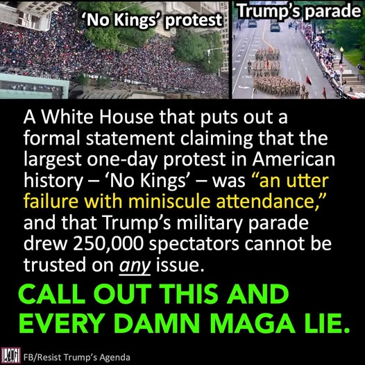 call-out-the-maga-lie