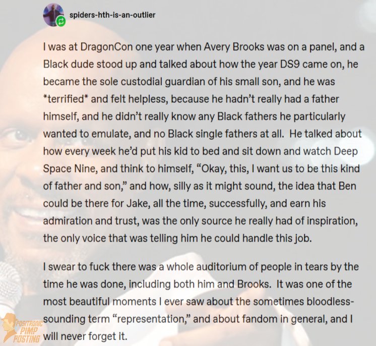 captain-sisko-role-model