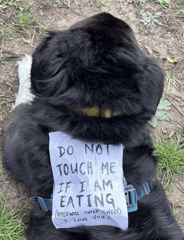 do-not-touch-me-if-i-am-eating