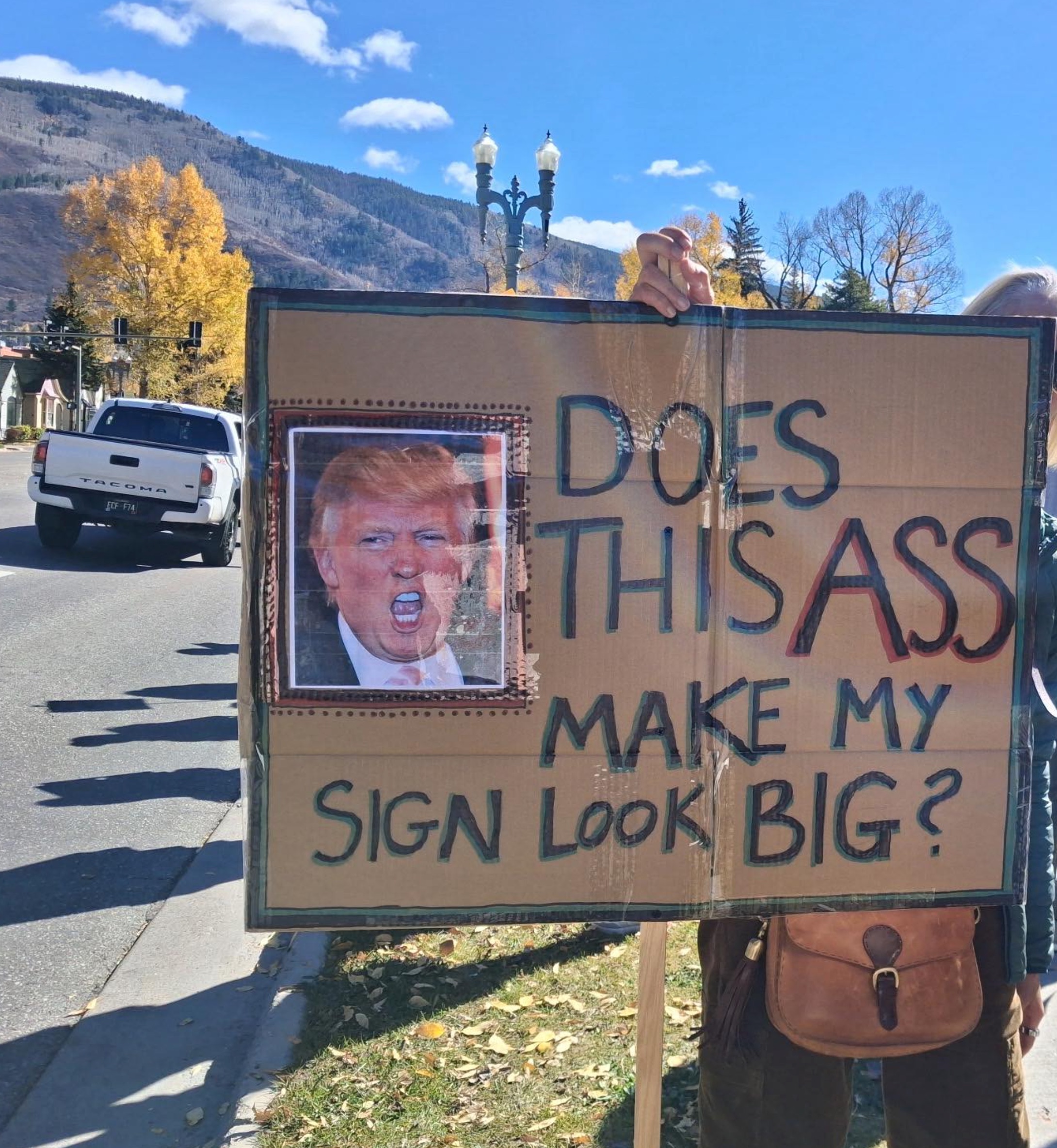 does_this_ass_make_my_sign_look_big