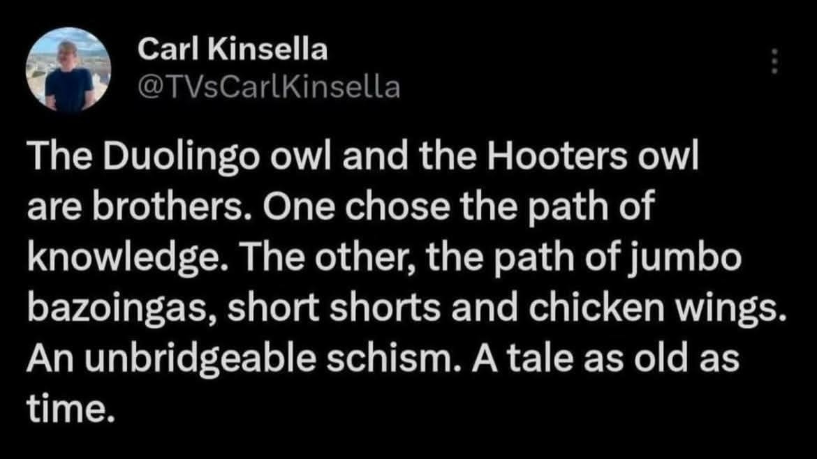 duolingo-owl-and-hooters-owl-are-brothers