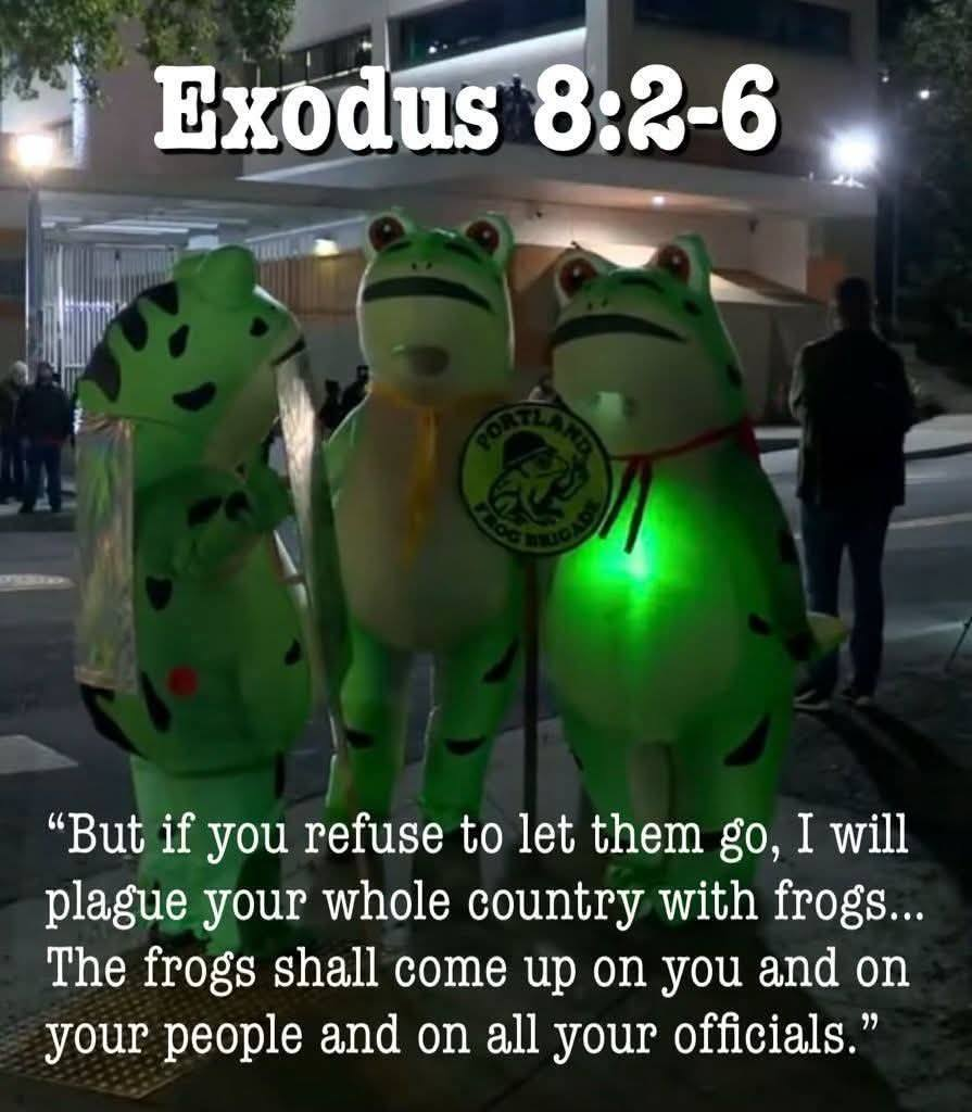 exodus-frogs