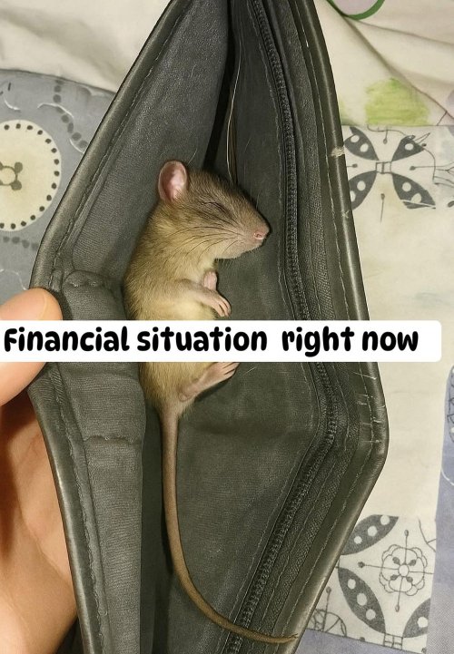 financial-situation