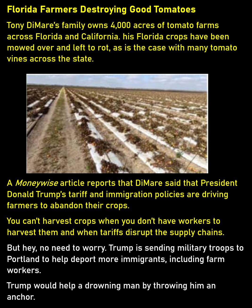 florida-farmers-destroying-good-tomatoes