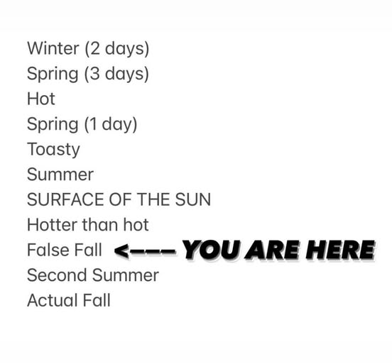 florida-you-are-here