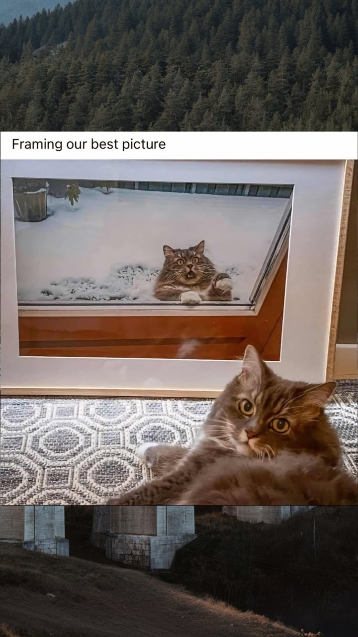 framing-our-best-picture