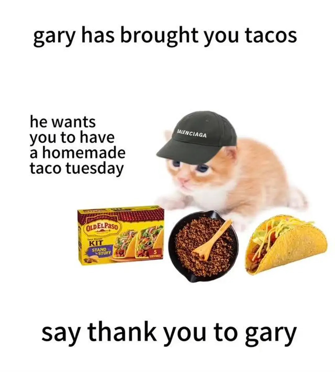 gary-has-brought-you-tacos
