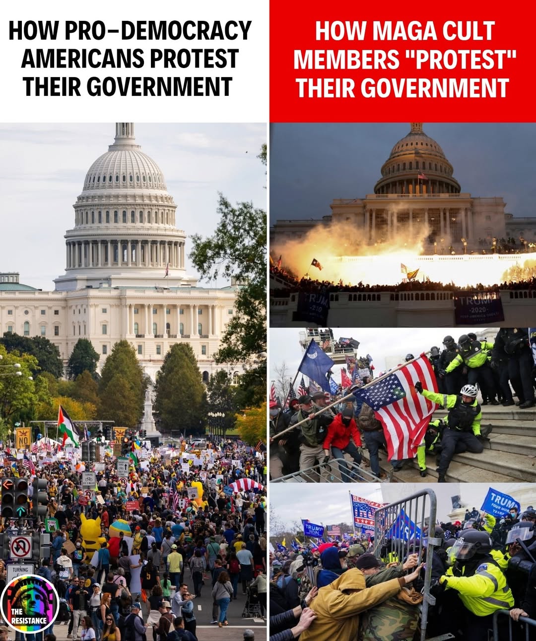 how-pro-democracy-and-maga-americans-protest