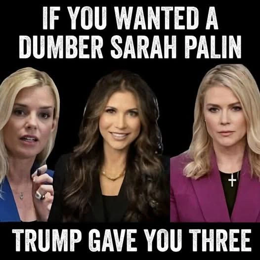 if-you-wanted-a-dumber-sarah-palin