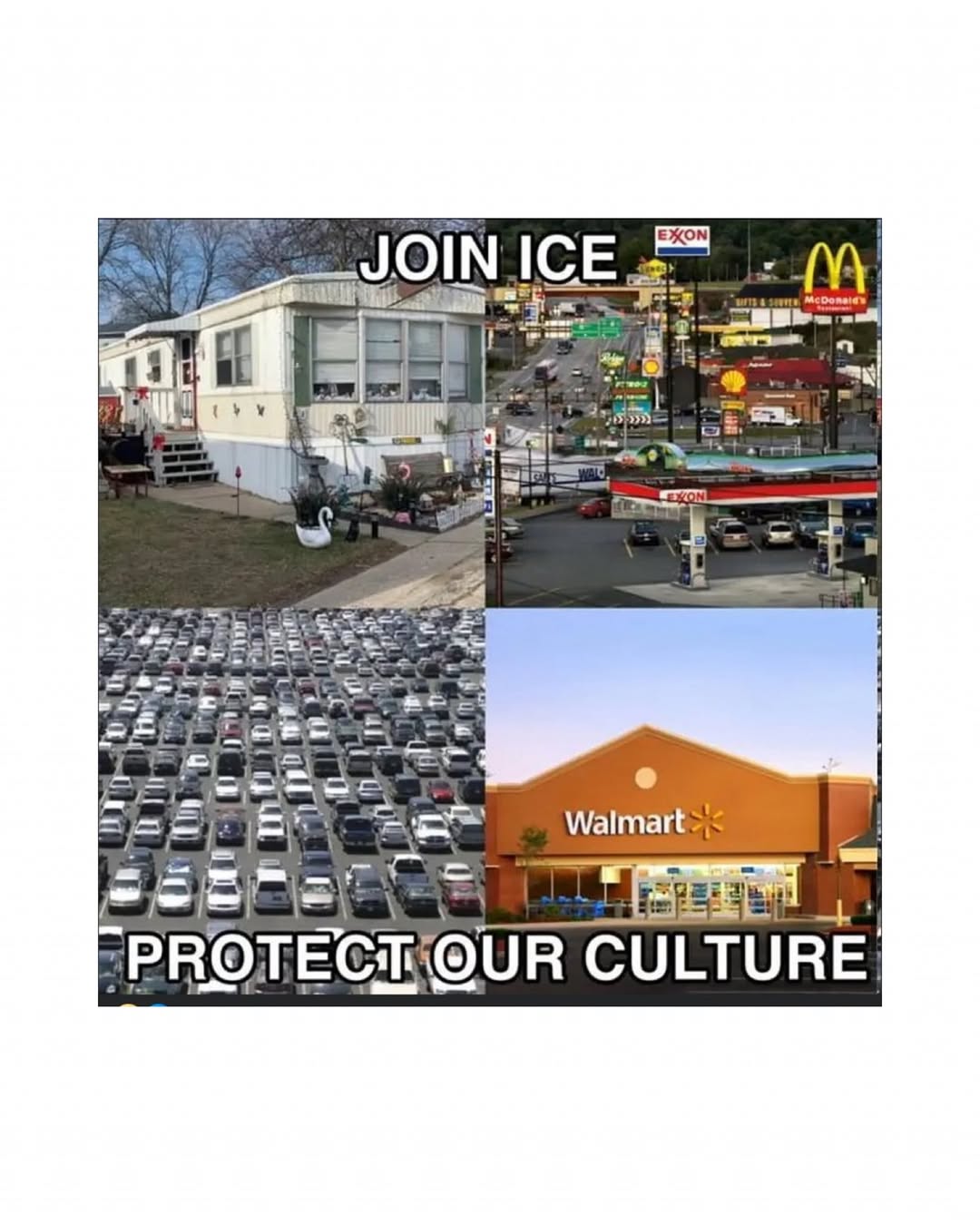 join-ice-protect-our-culture