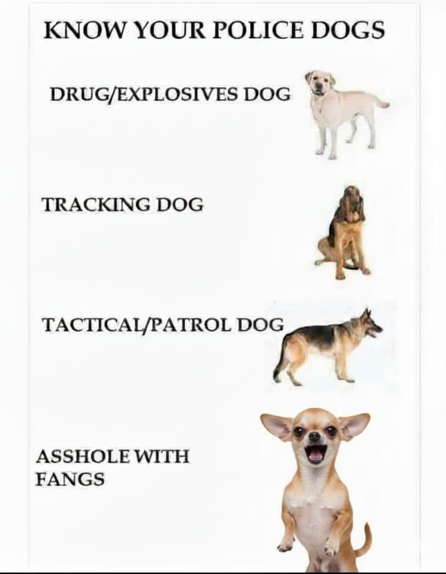 know-your-police-dogs