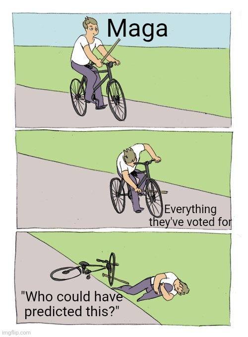 maga-and-everything-they-voted-for