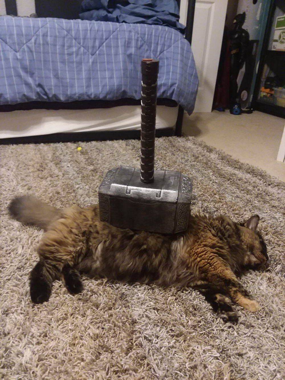 mjolnir-cat-not-worthy