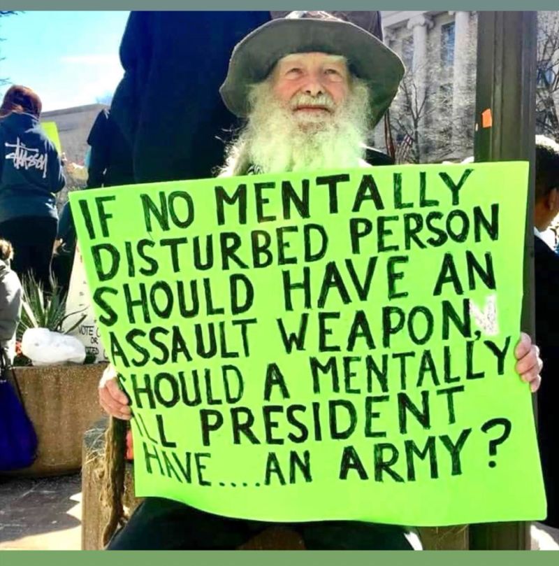should-a-mentally-ill-president-have-an-army