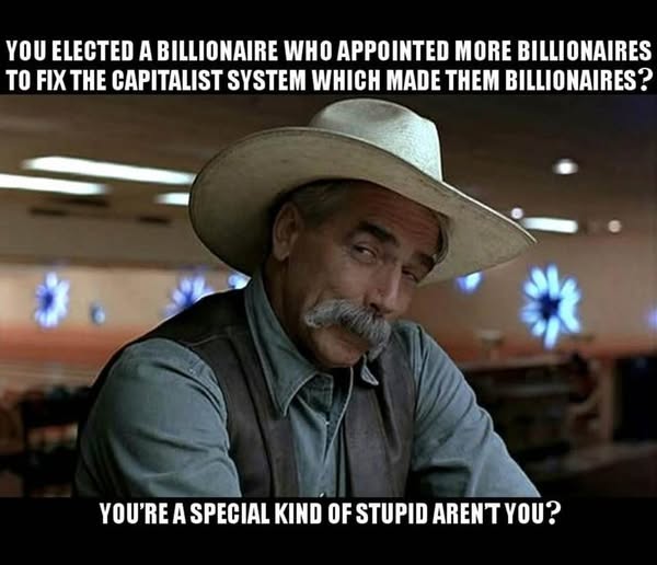 special-kind-of-stupid