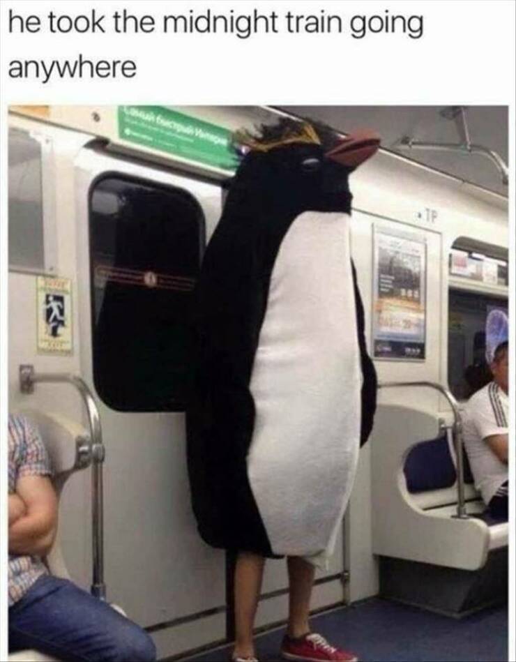 took-the-midnight-train-going-anywhere