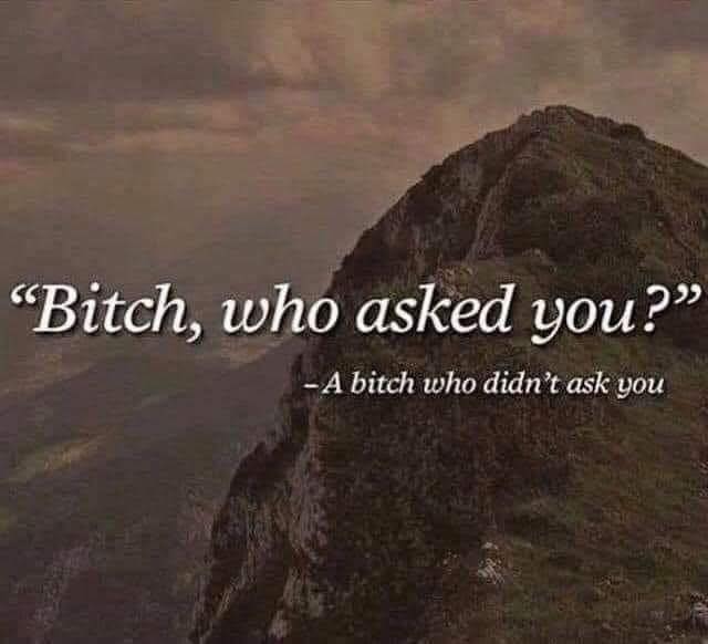 bitch-who-asked-you