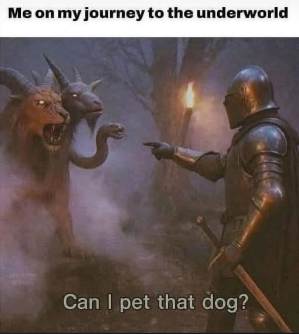 can_i_pet_that_dog