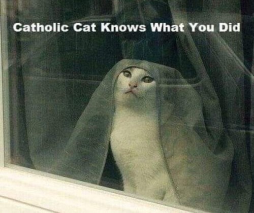 catholic-cat