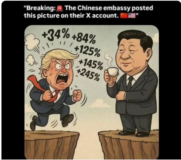 chinese-embassy-x-account