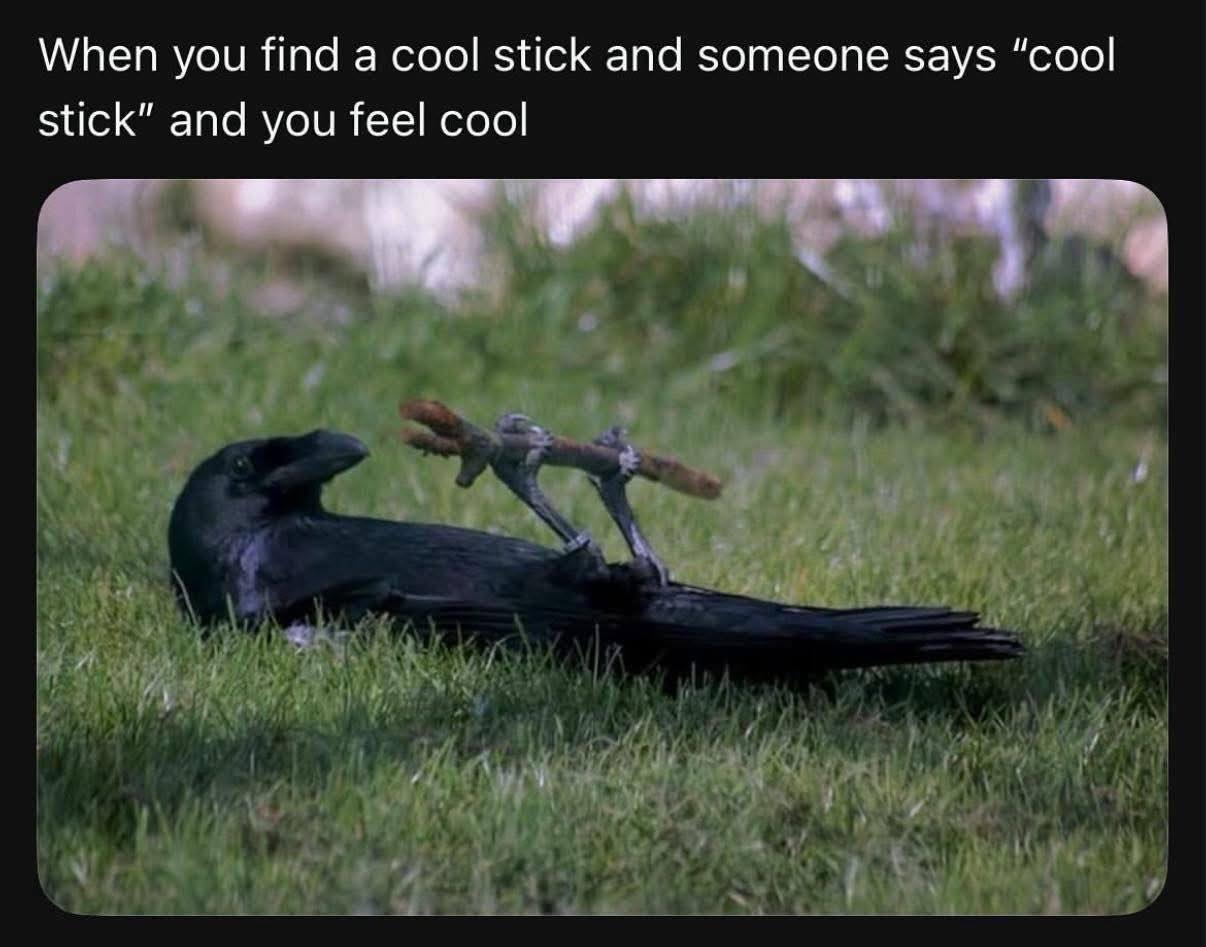 cool-stick