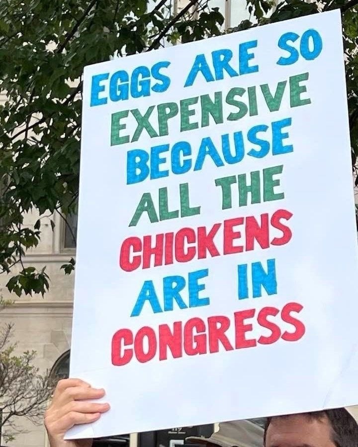 eggs-are-expensive