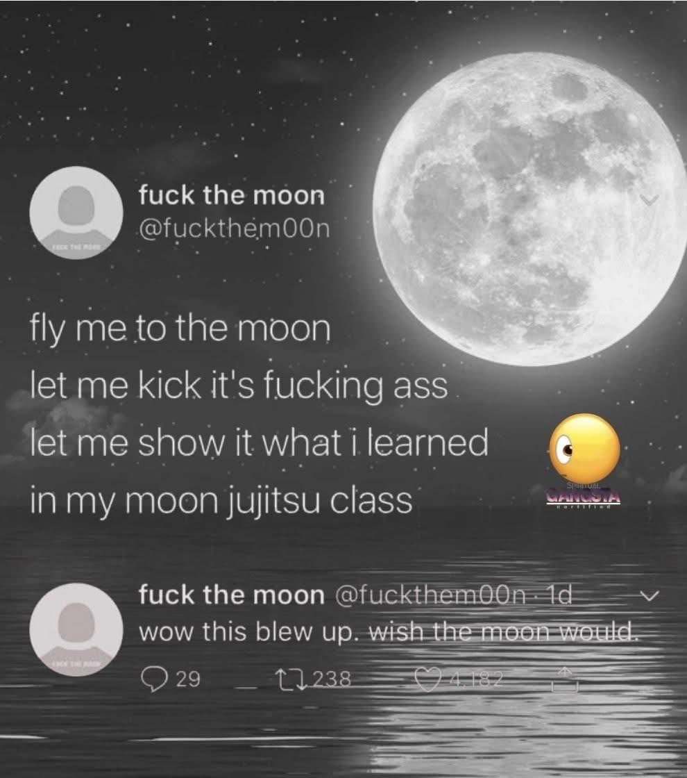 fly-me-to-the-moon