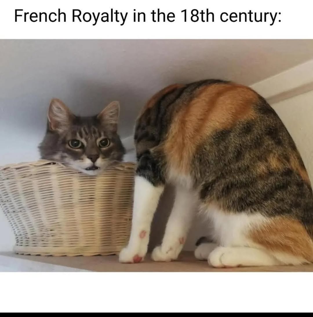 french-royalty-in-the-18th-century