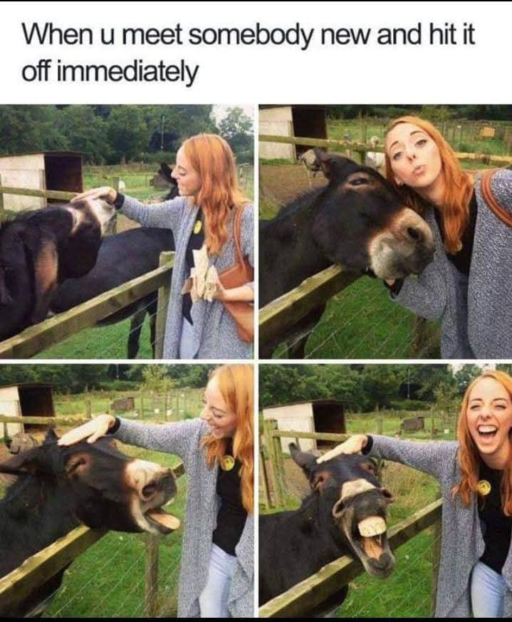 hit-it-off-immediately