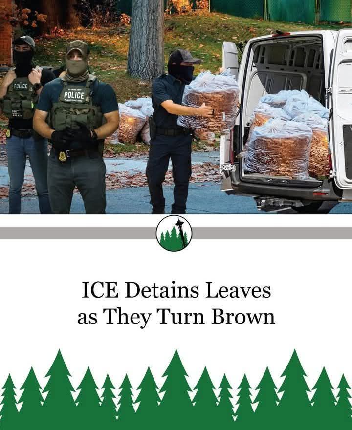 ice-detains-leaves-as-they-turn-brown