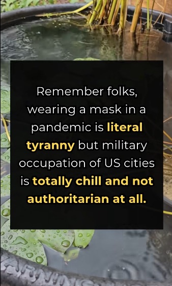 masks_vs_military_occupation