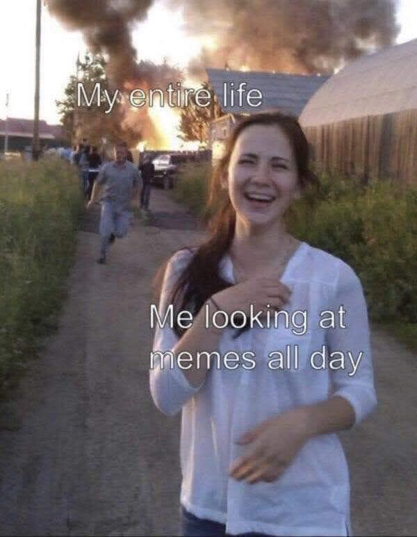 me-looking-at-memes-all-day