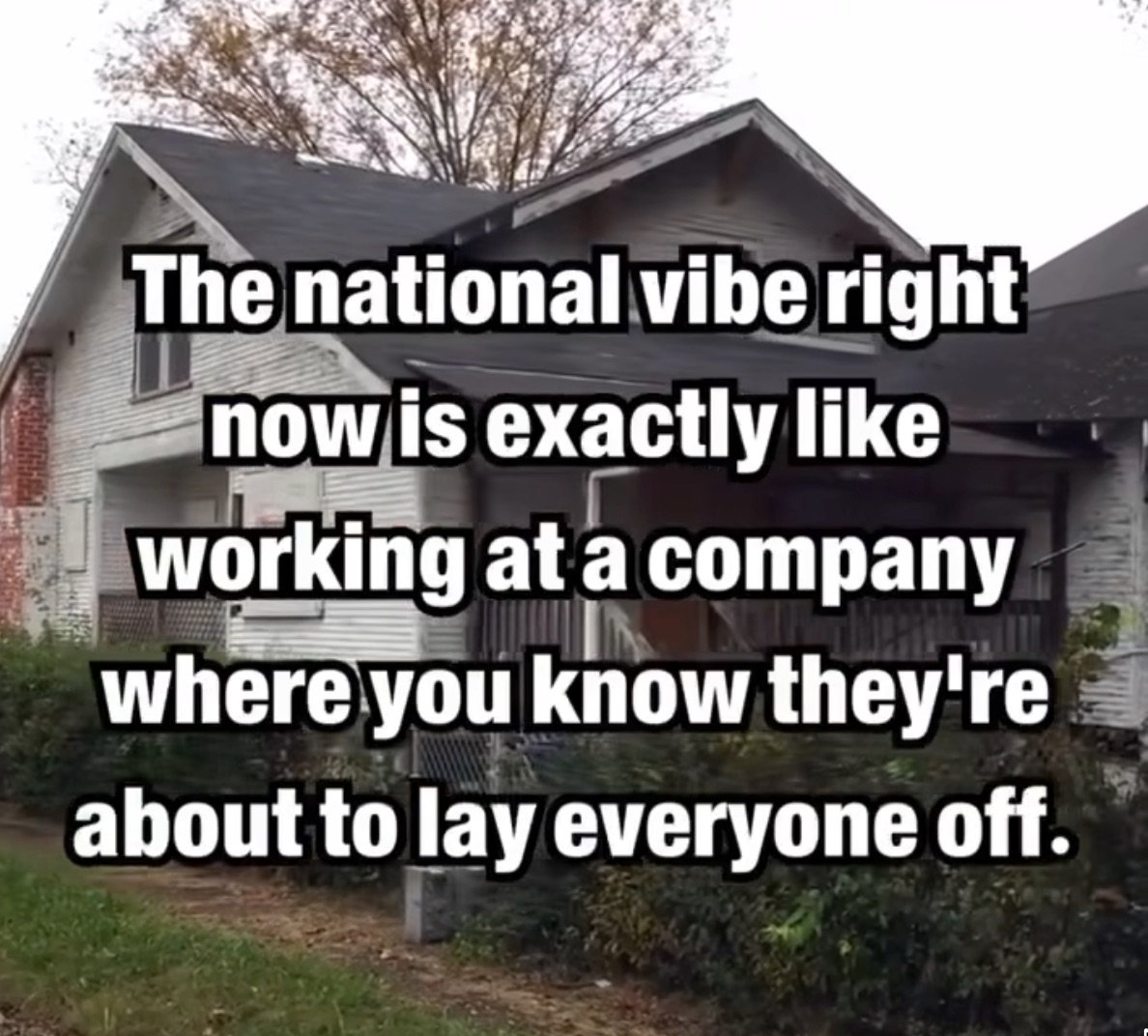 national_vibe_right_now