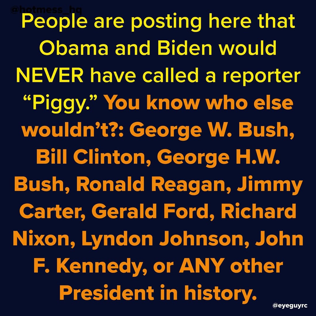 never-would-have-called-a-reporter-piggy