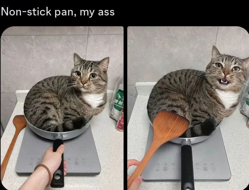 non-stick-pan-my-ass