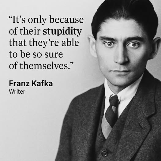 only-because-of-their-stupidity
