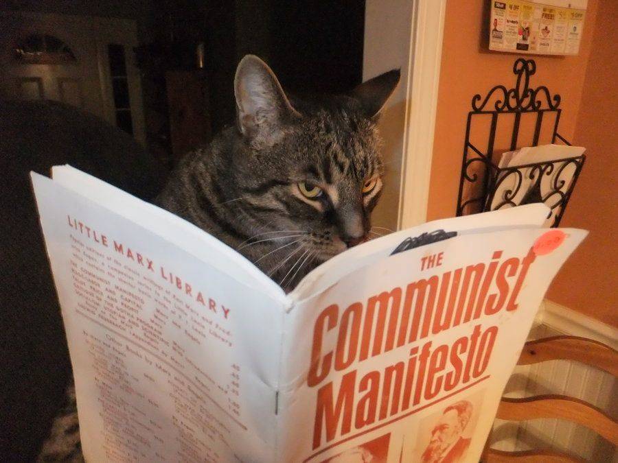 reading-communist-manifesto