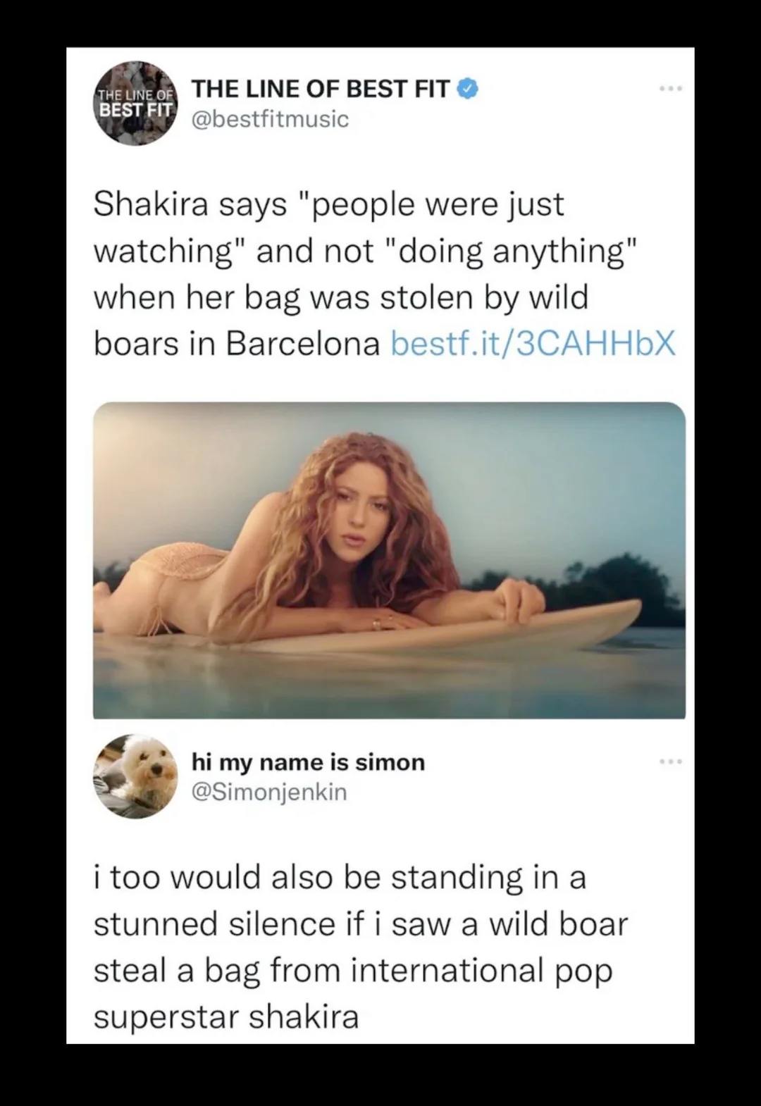 shakira-vs-wild-boar