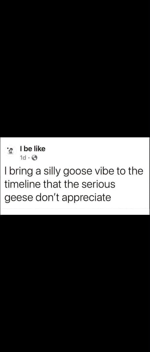 silly-goose-vibe