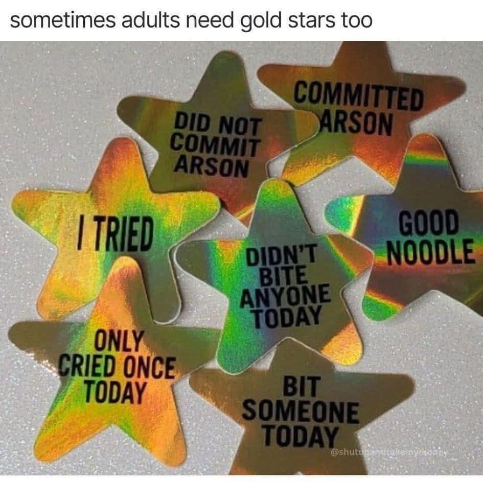 sometimes-adults-need-gold-stars-too