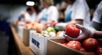 Tampa Bay food banks and restaurants where kids eat for free [Updated Monday, November 3]