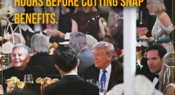 Sunday picdump for Sunday, November 2