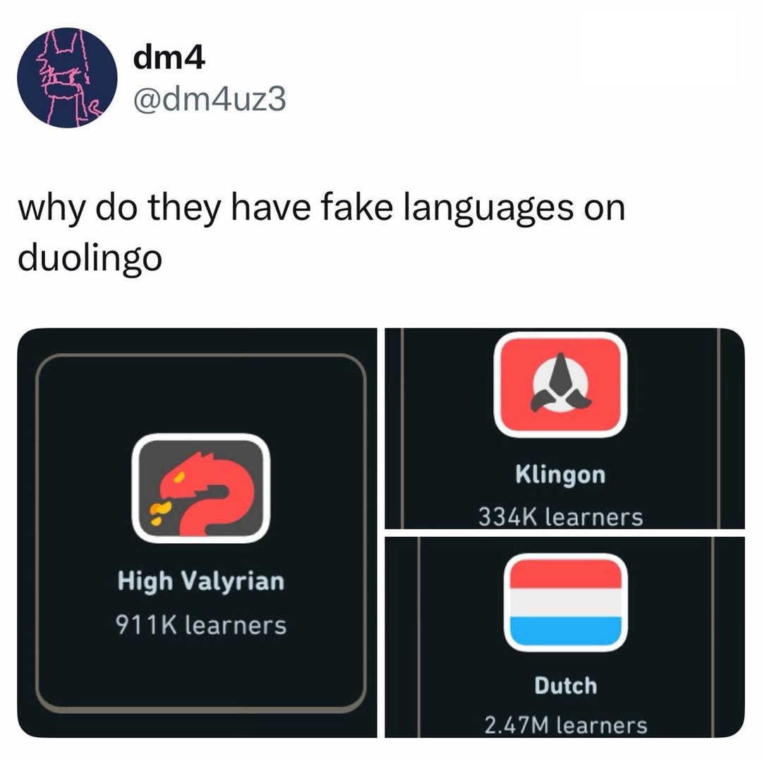 why-do-they-fake-languages-on-duolingo