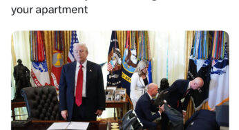 Sunday picdump for Sunday, November 9